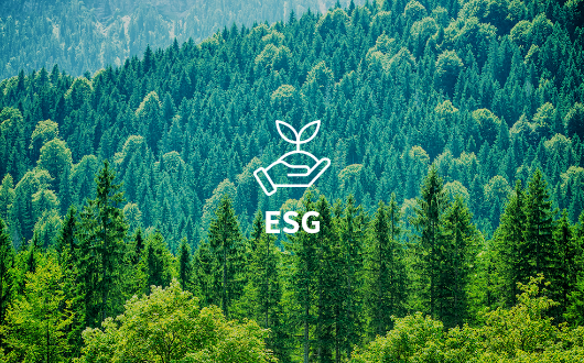 ESG